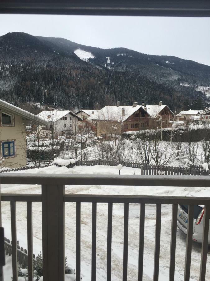 Appartamento Bosco Dei Veli 판키아 외부 사진